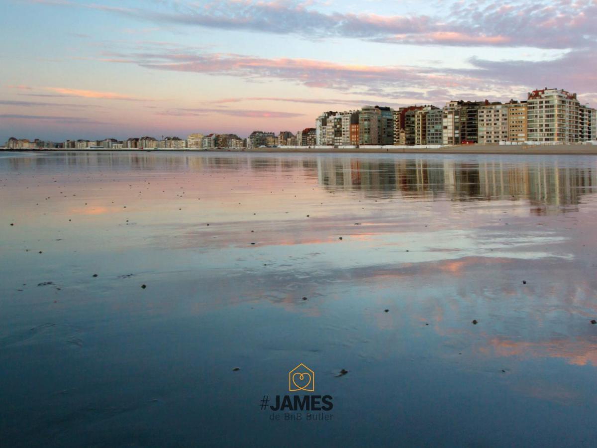 Prachtig Zonnig Appartement Op 200 Van Het Strand นอคเคอ-เฮสท์ ภายนอก รูปภาพ